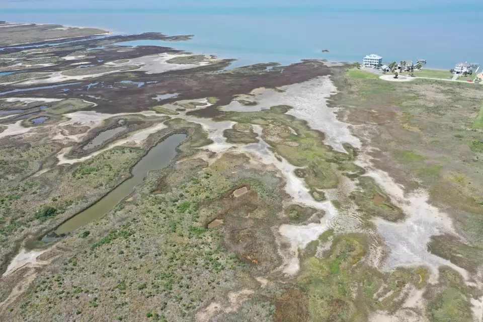 Galveston Bay Foundation acquires 63 acres of wetlands for $1M conservation project